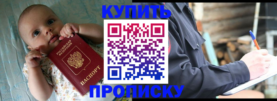 прописка поиск в Луге